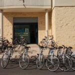 Private Bike Tour with Olive Oil Tasting - What Travelers Are Saying