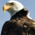 Private Birding Hike in Rocky Mountain National Park - What’s Included and What You Might Want to Consider