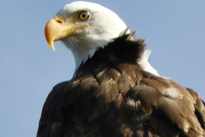 Private Birding Hike in Rocky Mountain National Park - What’s Included and What You Might Want to Consider
