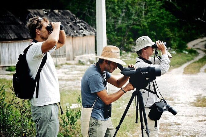 Private Birdwatching Tour in Sian Ka'an Muyil - FAQs about the Private Birdwatching Tour in Sian Kaan Muyil