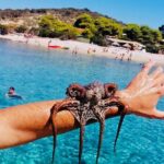 Private Blue Cave Tour from Split, Bra, Trogir and Hvar - Who Would Love This Tour?