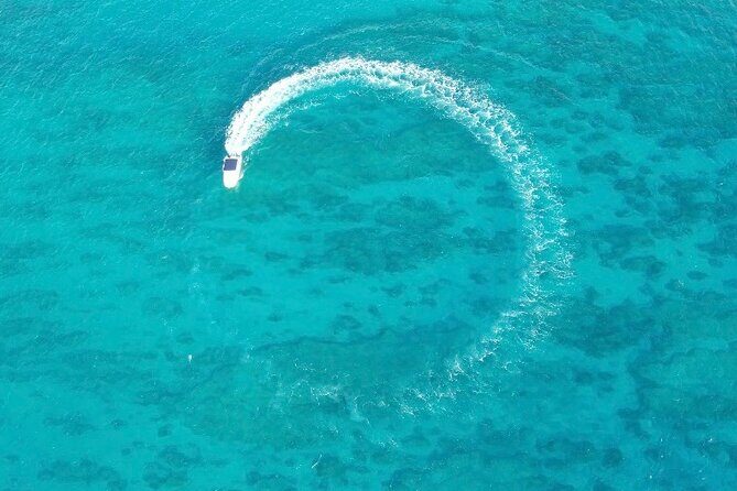 Private Boat Cruise of Waikiki! Snorkel, Sightseeing, Sea Life! - What Makes This Tour Stand Out