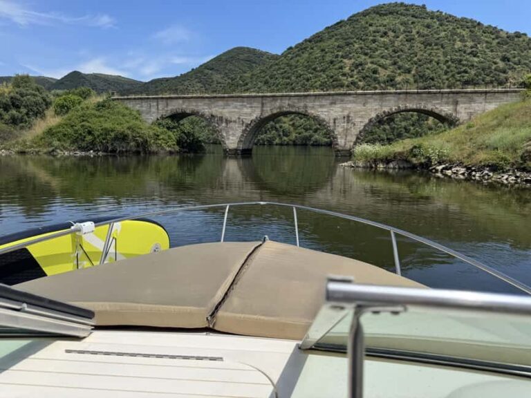 Private Boat Tour: Douro & Côa - Pocinho - Vila Nova de Foz Côa - A Deep Dive into the Experience