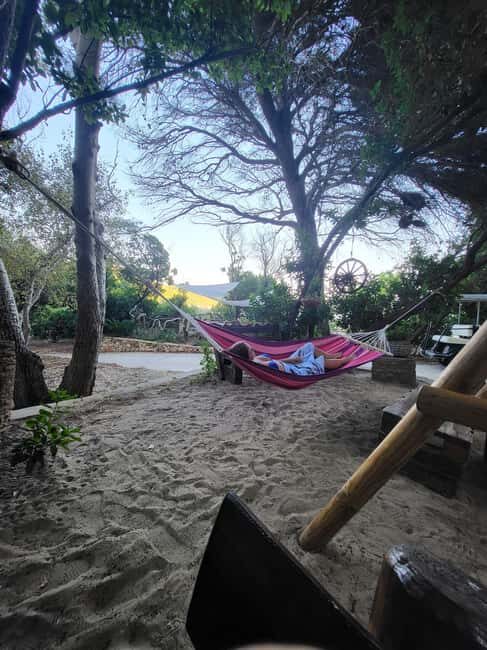 Private Boat Tour Tailor-Made 6h-All Inclusive - The Highlights: Why Travelers Love It