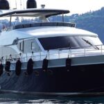 Private Bosphorus Sightseeing Cruise on Luxury Yacht - Food and Drinks: The Turkish Touch