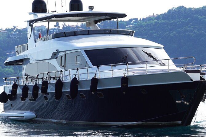 Private Bosphorus Sightseeing Cruise on Luxury Yacht - Food and Drinks: The Turkish Touch