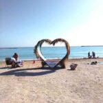 Private Bucharest Tour: Discover Constana & Black Sea Coast - Who Should Consider This Tour?