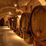 Private Budapest sightseeing tour including Etyek Wine tour with lunch - Who Will Love This Tour?