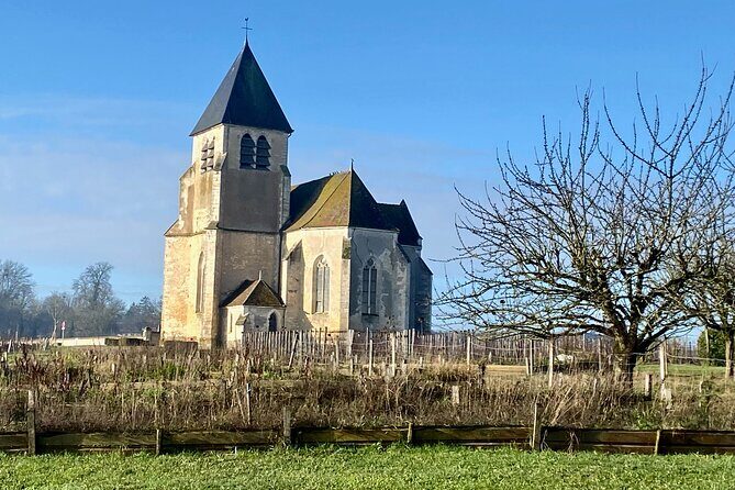 Private Burgundy 3 Domaines Chateau Pommard Chablis 15 Wines Trip - What’s Included and What to Consider