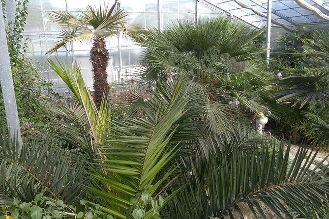 Private Cape Kaliakra & the Balchik Botanical Gardens from Varna - Why Travelers Love This Tour