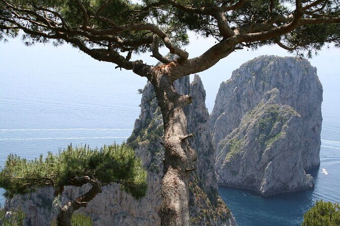 Private Capri Blue Grotto No Stress Tour With Kids From Naples - The Practical Details