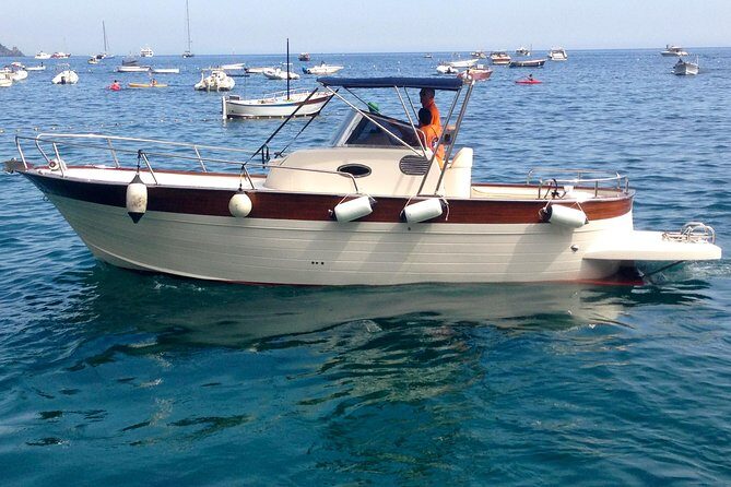 PRIVATE CAPRI ISLAND & BLUE GROTTO Full Day boat tour. - Who Will Love This Tour?