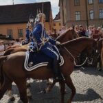 Private Car Tour of Stockholm with a Live guide, including the Vasa museum. - The Guide and Overall Experience