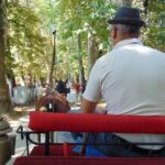 Private Carriage Ride in Vrelo Bosne Nature Park - Exploring the Itinerary in Detail