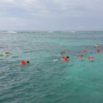 Private Catamaran Experience from Cancun to Isla Mujeres! - Practical Details & What They Mean for You