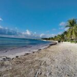 Private Cenote & Snorkeling Tour with Turtles in Akumal - What to Expect on This Tour