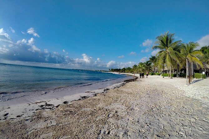 Private Cenote & Snorkeling Tour with Turtles in Akumal - What to Expect on This Tour