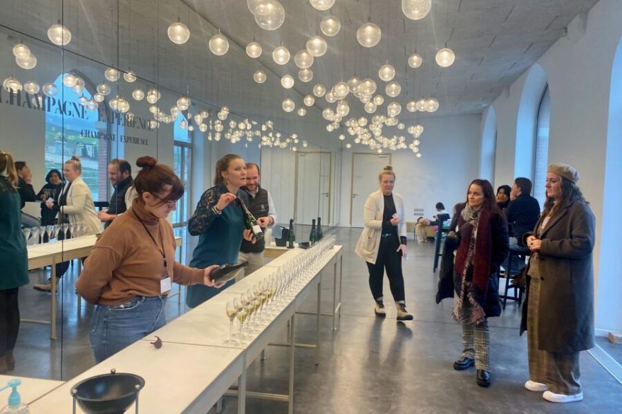 Private Champagne Moet Chandon, Pommery, Pressoria Day trip - Is This Tour Worth It?