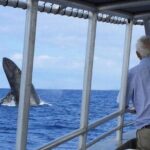 Private Charter: Customizable Big Island Boat Adventure - What the Day Looks Like