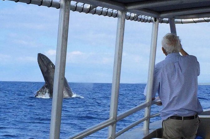 Private Charter: Customizable Big Island Boat Adventure - What the Day Looks Like