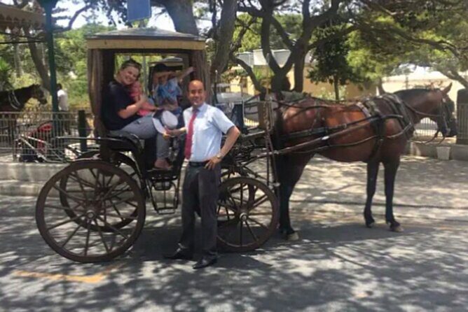 Private Chauffeur Island Tour of Malta and Gozo - Practical Insights and Tips