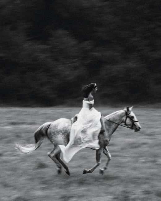 Private Chianti Horseback Riding Wine Tasting + Lunch - What Makes This Tour Stand Out