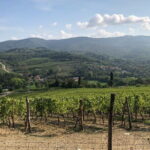Private Chianti Wine Tasting from Florence, Half Day Experience - The Value of the Experience