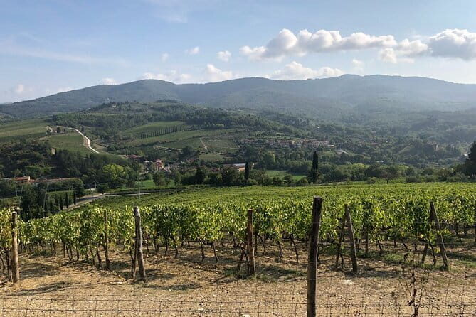 Private Chianti Wine Tasting from Florence, Half Day Experience - The Value of the Experience