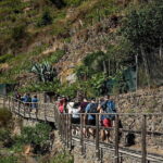 Private Cinque Terre Day Trip from Florence with Optional Hiking - Who Is This Tour Best For?