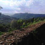 PRIVATE Civita di Bagnoregio and Orvieto Wine Tasting -Ebike tour - Analyzing the Value