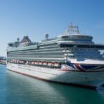 Private Civitavecchia Port Transfer From / To Rome City Center - Navigating the Reviews