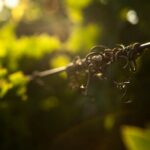 Private Cretan Gastronomic experience Winery visit with Tastings & Cooking Class - Why This Tour Might Be Worth It