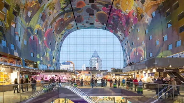 Private CUS Tour: Kinderdijk/ Rotterdam/Hagueenglish// - Who Is This Tour Best For?