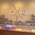 Private Customized French Riviera Tour from Port Villefranche 8H - Transport and Comfort