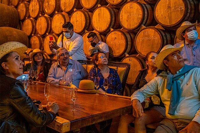 Private Day Adventure Tour in Tequila and visit to the Castle of Tequila - Who Should Consider This Tour?