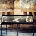 Private Day Escape: Pompeii, Sorrento and Positano from Naples - The Practicalities: How the Tour Works