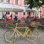 Private Day Tour Exploring Sighioara, Biertan & Mlncav - Who Is This Tour Best For?