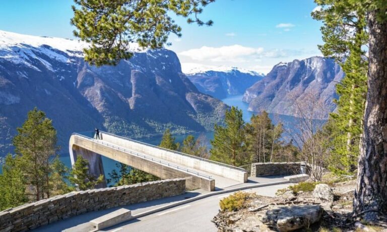 Private Day Tour- Flam Railway & Fjord Cruise From Bergen - What Makes This Tour Stand Out?