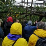 Private day tour: Sorrento, Positano, Amalfi and Ravello. - The Itinerary Breakdown