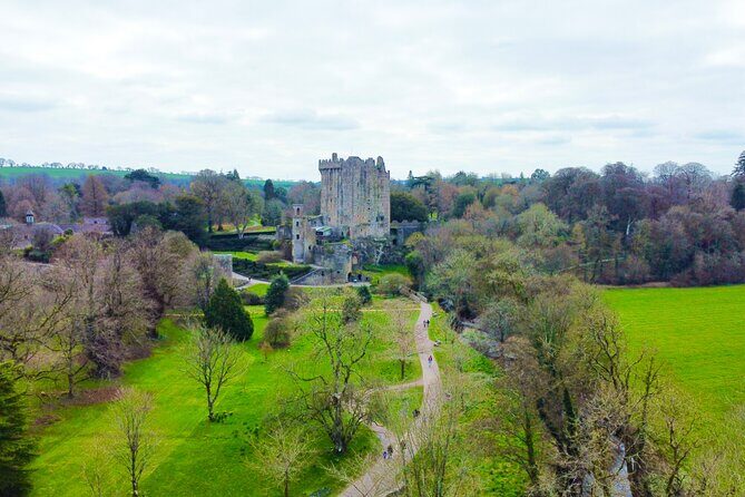 Private day tour to Blarney Castle & The Rock of Cashel - Why This Tour Might Not Be for Everyone