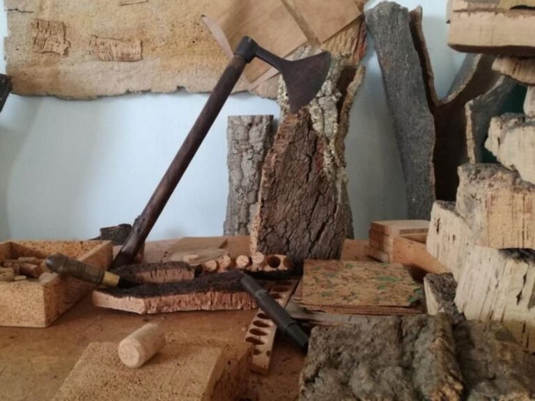 Private day tour to Évora: cork, factory, winery & the city - Who Should Consider This Tour?