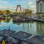 Private Day Trip from Amsterdam to Rotterdam and the Hague - What to Expect from This Private Day Trip