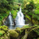 Private day trip from Basel to the Black forest and back - The Stops That Make This Trip Special