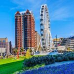 Private Day Trip: Rotterdam Architecture & Gouda Cheese Farm - A Closer Look at Gouda