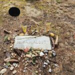 Private Day Trip to Lexington and Concord from Boston - Final Thoughts