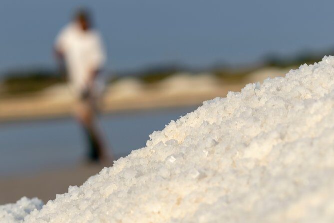 Private Day Trip To Pag Island and Nin Saltworks from Zadar - Practical Details and What to Expect