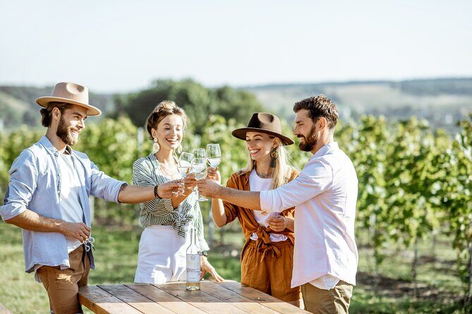 Private Day Trip to Petralona Cave and Afytos with Wine Tasting - Who Should Consider This Tour?