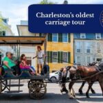 Private Daytime Horse-Drawn Carriage Tour of Charleston - What Makes This Tour Stand Out?