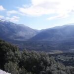 Private Delphi tour with a Pickup - What Makes This Tour Stand Out?