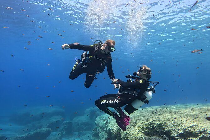 Private Discover Scuba Diving Experience in Messinia - The Value and Why It Stands Out